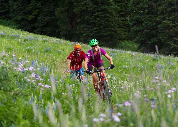 Teewinot By Grand Targhee