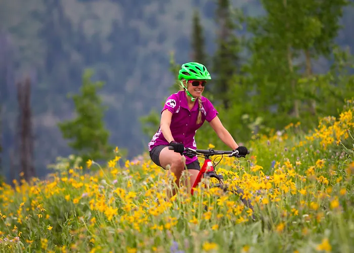 Lodge Teewinot By Grand Targhee