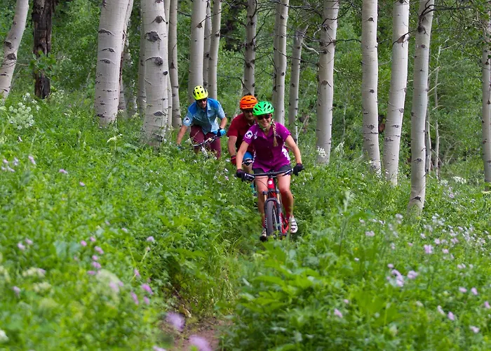 Teewinot By Grand Targhee Lodge *