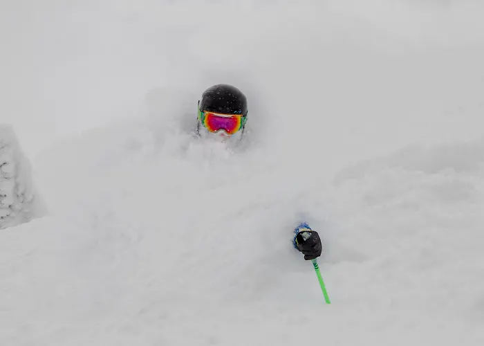 Lodge Teewinot By Grand Targhee Alta