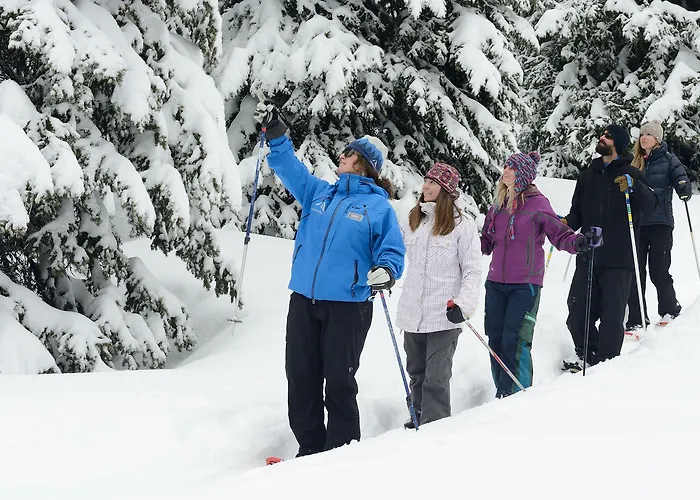 Teewinot By Grand Targhee Lodge