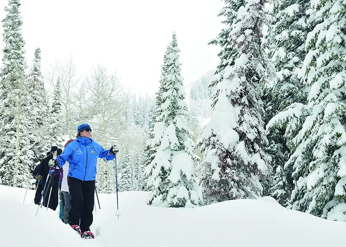 Lodge Teewinot By Grand Targhee Alta
